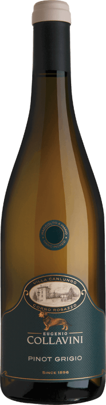 Villa Canlungo Pinot Grigio Collio DOC - Eugenio Collavini