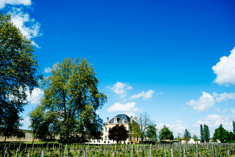 Château Tessier, serce win Maltus Château Tessier, serce win Maltus