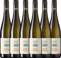 6er Vorteils-Weinpaket - Grüner Veltliner Federspiel Terrassen 2022 - Domäne Wachau