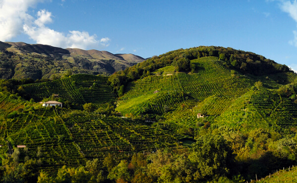 Wzgórza Valdobbiadene