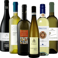Bestsellerowe białe wino z Włoch - pakiet degustacyjny 6x