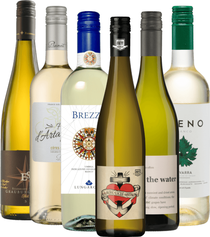 Najlepsze białe wina VINELLO - 6x pakiet bestsellerów
