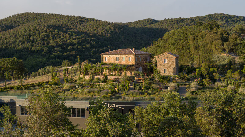 Winnica Tenuta Luce Winnica Tenuta Luce