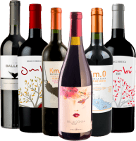 pakiet 6 odmian winogron - Best of Tannat Uruguay
