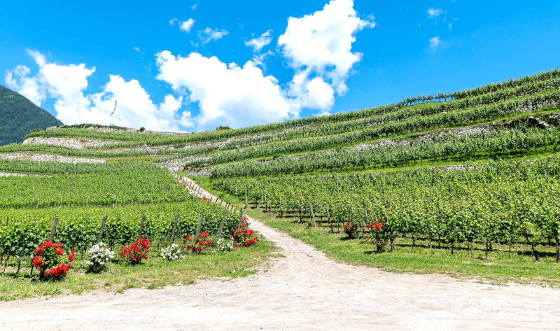 Trentino-Südtirol