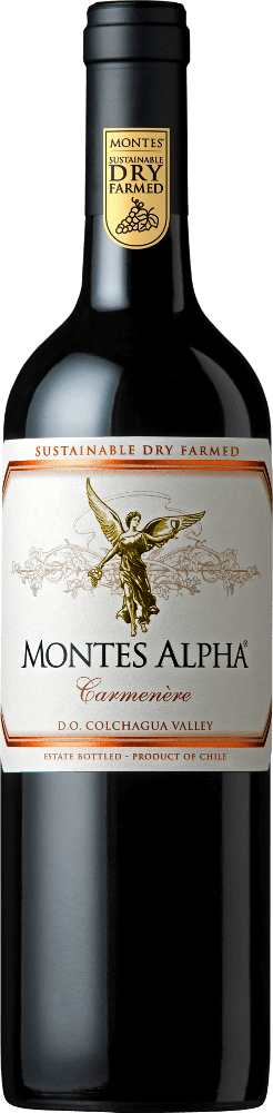 Vorschau: Ring of Wines - Chile’s bestseller 6x zestaw odkrywcy