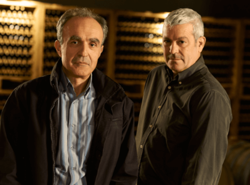Gaia Wines Winiarze