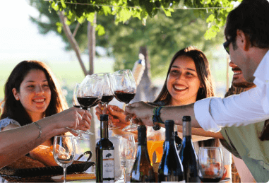 Degustacja wina w Bodegas Castano
