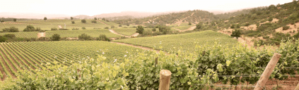 Terra Noble Vineyards Terra Noble Vineyards
