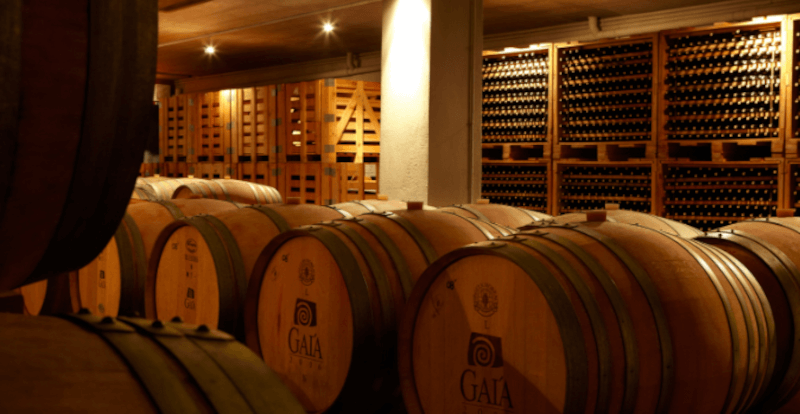 Gaia Wines Beczki