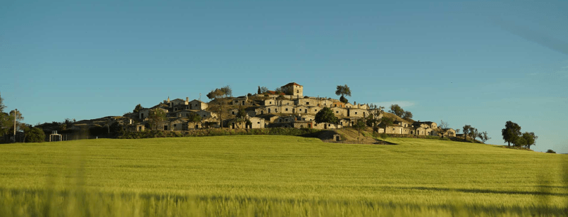 Bodega Bardos Bodega Bardos