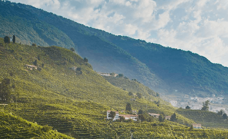 Die Hügel der Prosecco-Region