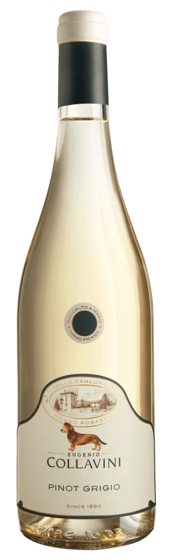 Villa Canlungo Pinot Grigio IGT - Eugenio Collavini